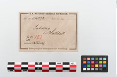 Etikett zu Bronzebogenfibel (NHMW-PRAE-024078)